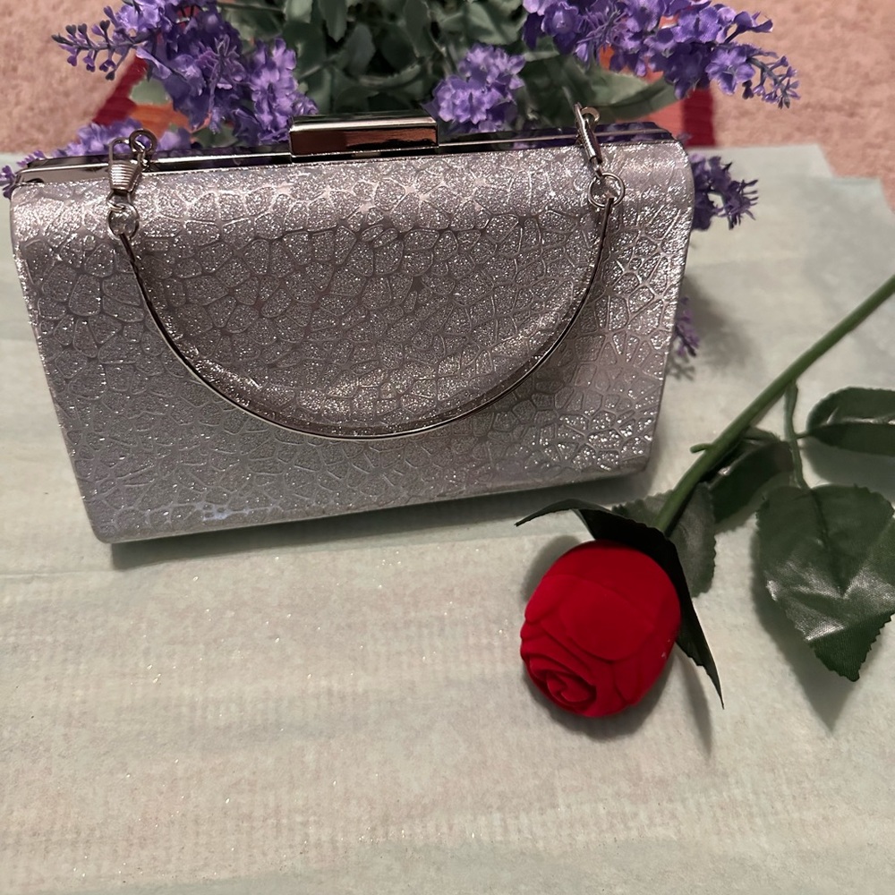 Silver shiny women's party clutch